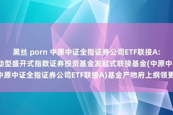 黑丝 porn 中原中证全指证券公司ETF联接A: 中原中证全指证券公司走动型盛开式指数证券投资基金发起式联接基金(中原中证全指证券公司ETF联接A)基金产物府上纲领更新(2024-11-07)