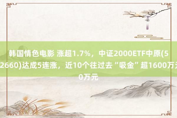 韩国情色电影 涨超1.7%，中证2000ETF中原(562660)达成5连涨，近10个往过去“吸金”超1600万元
