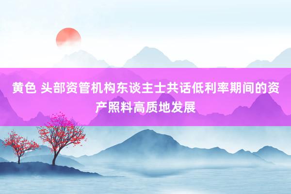 黄色 头部资管机构东谈主士共话低利率期间的资产照料高质地发展