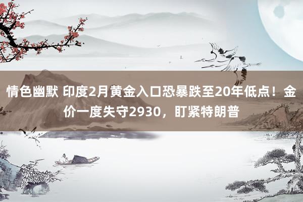 情色幽默 印度2月黄金入口恐暴跌至20年低点！金价一度失守2930，盯紧特朗普
