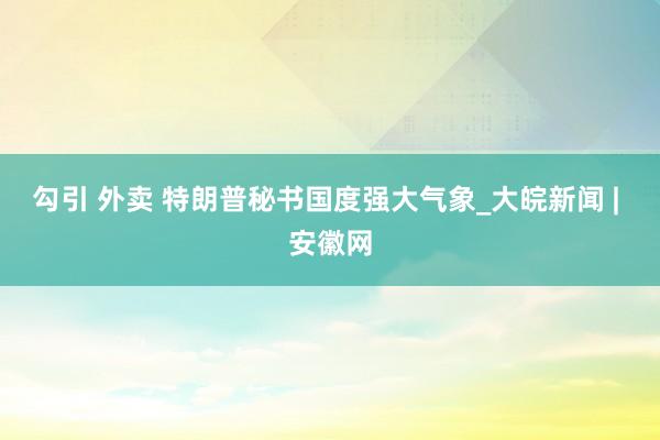 勾引 外卖 特朗普秘书国度强大气象_大皖新闻 | 安徽网
