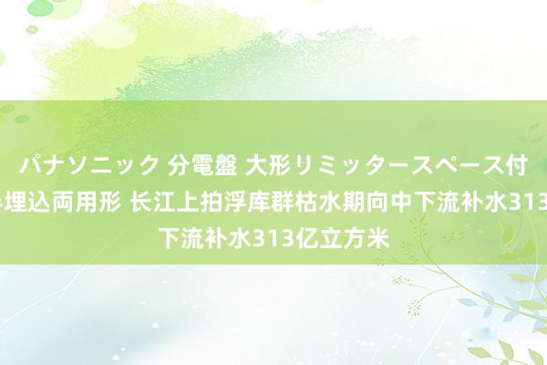 パナソニック 分電盤 大形リミッタースペース付 露出・半埋込両用形 长江上拍浮库群枯水期向中下流补水313亿立方米