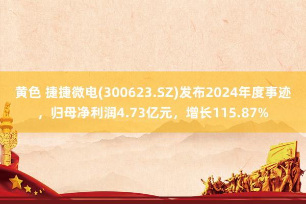 黄色 捷捷微电(300623.SZ)发布2024年度事迹，归母净利润4.73亿元，增长115.87%