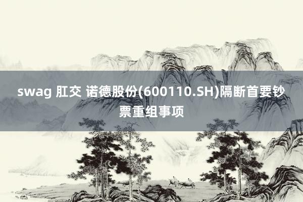 swag 肛交 诺德股份(600110.SH)隔断首要钞票重组事项